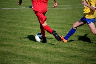 Leyu Sports (乐鱼体育)-拳击国家队备战亚运 实施精英训练计划，拳击亚军奖杯照片